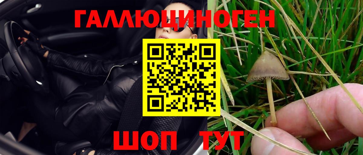 Псилоцибиновые грибы GOLDEN TEACHER  закладка  Советский  Вход с VPN 